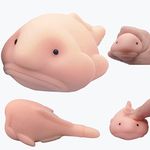 Cute Blobfish Toy, Scented, Fidget Blob Fish Mochi Toy,Stress Relief Squeeze for Kids and Adults, Sensory Toy for Autism, Birthday, Christmas, Office, Stocking Stuffer Gift