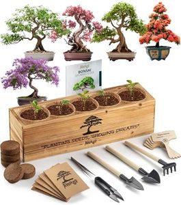 Avergo Bonsai Tree Kit – 5X Unique Japanese Bonzai Trees | Complete Indoor Bonsai Starter Kit for Growing Bonsai Plants with Tools & Planters – Gardening Gifts for Women & Men