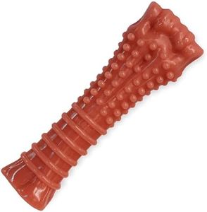Nylabone D