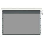 BIG VUE Tab-Tension Motorized ALR Projection Screen, 16:9 Movie Screen | Electric Tab-tensioned Projector Screen UHD Home, Movie, Theater, Work - 120 Inches