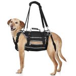 Dog Lift Harness for Large Dogs, Dog Sling for Large Senior Dogs Hind Legs, Dog Braces Support Harness for Back Legs/Hip, Multifunctional Mobility Dog Rear Lifting Harness (Extra Large)