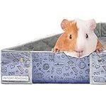 Paw Inspired Critter Box | Washable
