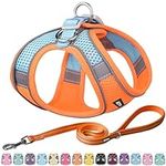 AIITLE Step in Dog Harness and Leas