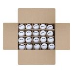 100-Pack Practice Golf Balls | Durable Dupont Surlyn Cover | Optimal Performance & Powerful Swings with 2-Piece Structure | 80 compression, streamlined flight | Conforms to USGA and R&A Standards