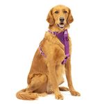 Kurgo, Enhanced Strength Tru-Fit Smart Harness for Dogs, Purple, Large