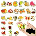 42PCS Foam Fridge Magnets for Toddlers, Fruit Toddler Magnets Toys, Fridge Magnets for Kids, Refrigerator Magnets for Kids, Magnets for Kids on Fridge, Baby Toddler Magnets for Refrigerator