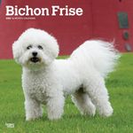 Bichon Frise | 2025 12 x 24 Inch Monthly Square Wall Calendar | Plastic-Free | BrownTrout | Animals Dog Breeds