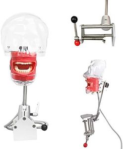 Dental Simulator Manikin Phantom Head Teeth Model Training Bench Mount Fix on Desk