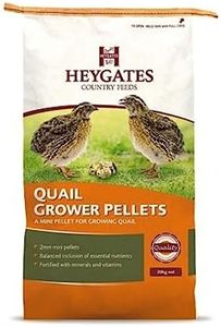 Heygates Q
