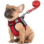 FAYOGOO Service Dog Vest for Small 