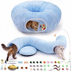 MOYMO Cat 