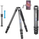 Carbon Fiber Tripod-INNOREL KT284C Super Professional Portable Travel Tripod for DSLR Camera Heavy Duty Compact Stand Support 1.1in/29mm Tube Max Load 44lbs/20kg with Short Center Column Only Tripod