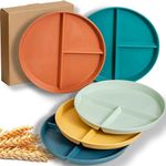 RVXHUA 5PCS 9 Inch Wheat Straw Portion Control Plates for Weight Loss Adults, Unbreakable Reusable Dinnerware Set Kids Divided Plate Bariatric Plastic Salad Lunch Tray, Microwave & Dishwasher Safe