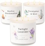 3 Pack Candles for Home Scented, Ba