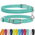 CollarDirect Leather Cat Collar with Bell - Kitten Collar, Small and Big Cat Collar for Boy Cats, Girl Cats with Safety Elastic Strap (Neck Fit 6"-7", Mint Green)