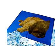 PetaHouse Premium Soft Cooling pad for Dog (New) (MD : 50CM X 65CM) Activated Comfort Mat,Heat Relief Pressure Bed Specially Designed for Small and Medium Dogs and Large Cats,Polyester,blue