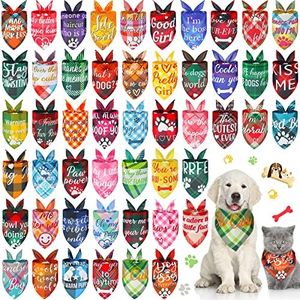 50 Pcs Pla