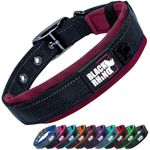 Black Rhino - The Comfort Collar Ultra Soft Neoprene Padded Dog Collar for All Breeds, Dog Collars for Large Dogs - Heavy Duty Adjustable Reflective Weatherproof (Medium, Burgundy/Bl)