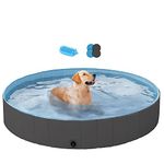 Dog Swimming Pools