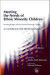 Meeting the Needs of Ethnic Minority Children - Including Refugee, Black and Mixed Parentage Children: A Handbook for Professionals Second Edition