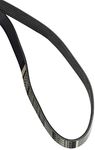 Roush 421627 Serpentine Belt (6K 3200 Length FEAD), 1 Pack