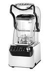 Vitamix Blenders