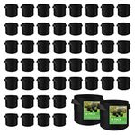 50 Pack Vegetable Grow Bags, Gardening Plant Growing Bags Breathable Non-woven Fabric Plant Pots with Handles Indoor & Outdoor Grow Containers for Vegetable/Flower/Plant/Fruits, 10 Gallon(Black)