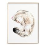 Triple Studio Cuddly Cat Art Print - Original Watercolor Painting, British Shorthair, Perfect Gift for Cat Lovers, Signed by Artist (11x14" unframed)