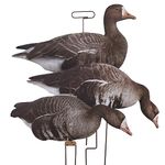 Higdon Outdoors Flats Specklebelly Motion Silhouette Waterfowl Decoy, 12-Pack