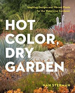 Hot Color 