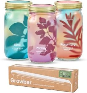 Modern Sprout Garden Jars + Smart Growbar Bundle - Self-Watering Hydroponic Herb Growing Kit with Full-Spectrum LED Grow Light, Organic Herb Seeds, Smart App, Adjustable Brightness, Ideal for Gifting