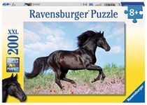 Ravensburger Horse Toys