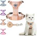 BEAUTYZOO Cat Harness and Leash Set