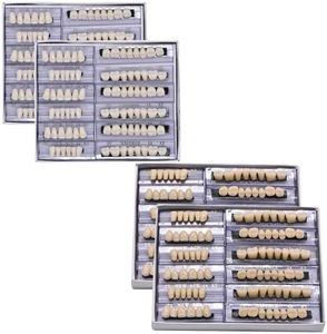 LVDXVG False Teeth Fake Teeth Model, 168pcs Teeth Upper and Lower Synthetic Resin Teeth for Teaching Display DIY Halloween (23A3)