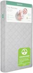 Newton Baby Crib Mattress and Toddl