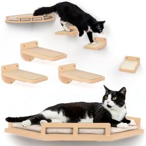 Cat Wall S