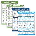 4 Pack - Cable Machine Workout Posters Volume 1 & 2 + Dumbbell Exercises + Stretching Exercises (LAMINATED, 18" x 24")