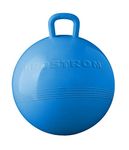 Ball Hopper Toy