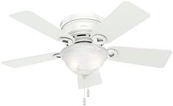 Hunter Fan Company 51022 Hunter Conroy Indoor Low Profile Ceiling Fan with LED Light and Pull Chain Control, 42", Snow White Finish