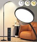 Tenmiro LED Floor Lamps for Living 