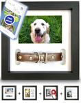 PAWCEPTIVE Dog Memorial Picture Frame with 5 Display Options- Dog Collar Memorial Frame Gift - Cat or Dog Pet Loss Gift for a Grieving Friend - Pet Remembrance Gift and Sympathy Photo Keepsake…