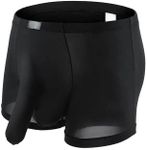 Men's Sexy Elephant Trunk Translucent Briefs Ice Silk U Bulge Underwear (as1, alpha, l, regular, regular, Black)