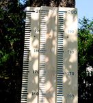 Giant wooden ruler height chart metric measure