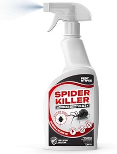 Pest strik