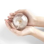 CAIRIAC Crystal Dandelion Glass Ball, Real Dandelion Paperweight, Real Dandelion Specimen Ball Home Office Decor, Resin Dandelion Globe for Anniversary Christmas Birthday Wedding Gift (68mm)