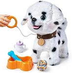 OR OR TU Walking Barking Toy Dog with Remote Control Leash, Plush Puppy Electronic Interactive Toys for Kids, Shake Tail,Pretend Dress Up Realistic Stuffed Animal Dog Age 3 4 5+ Years Old Best Gift