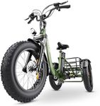 VIPCOO ET1 Electric Tricycle Adult,