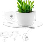 Skewo 2 Pack Acrylic Window Boxes P