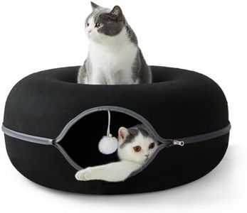 Jia Xi Cat