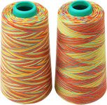 2 Pack Polyester Sewing Thread, 3000 Yards Rainbow Overlocking Thread Colored Quilting Thread for Sewing, Quilting, Piecing and Overlock